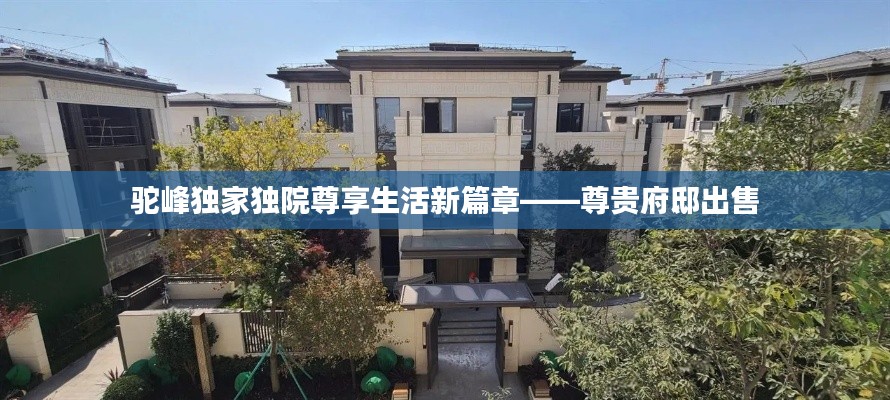 驼峰独家独院尊享生活新篇章——尊贵府邸出售