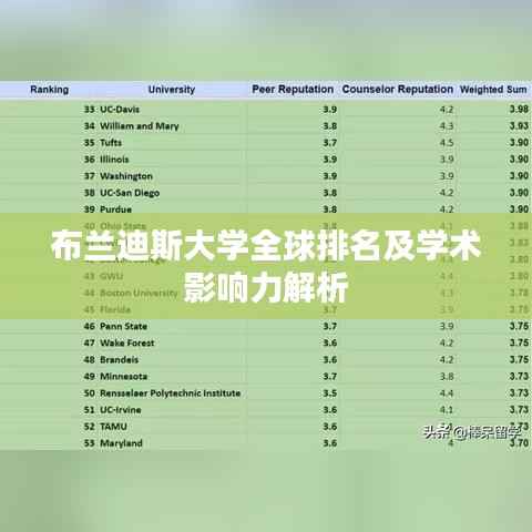 布兰迪斯大学全球排名及学术影响力解析