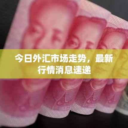今日外汇市场走势，最新行情消息速递