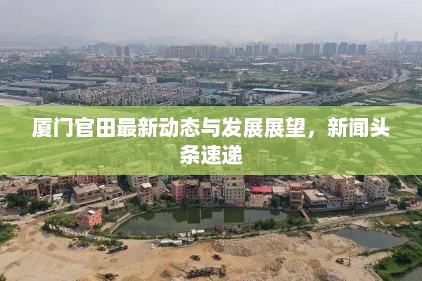 厦门官田最新动态与发展展望,新闻头条速递