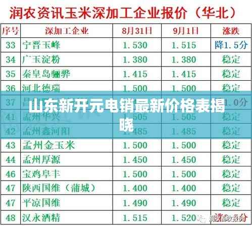 山东新开元电销最新价格表揭晓