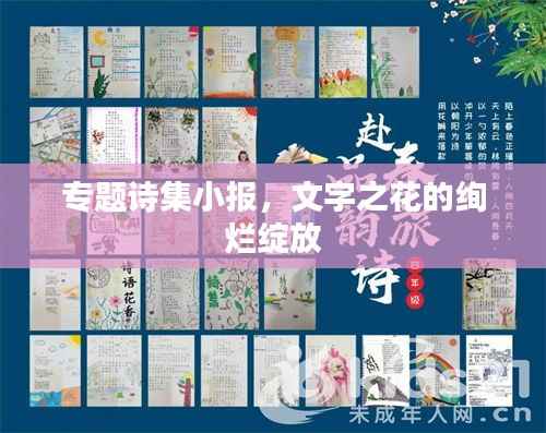 专题诗集小报,文字之花的绚烂绽放