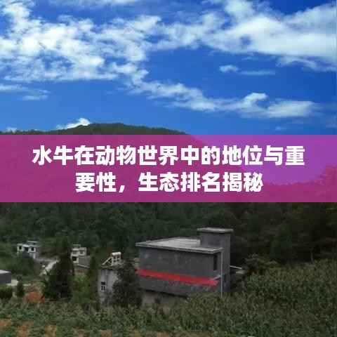 水牛在动物世界中的地位与重要性,生态排名揭秘