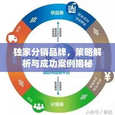独家分销品牌，策略解析与成功案例揭秘