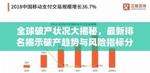 全球破产状况大揭秘,最新排名揭示破产趋势与风险指标分析