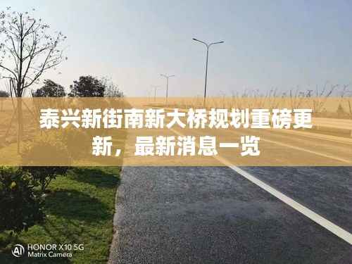 泰兴新街南新大桥规划重磅更新，最新消息一览