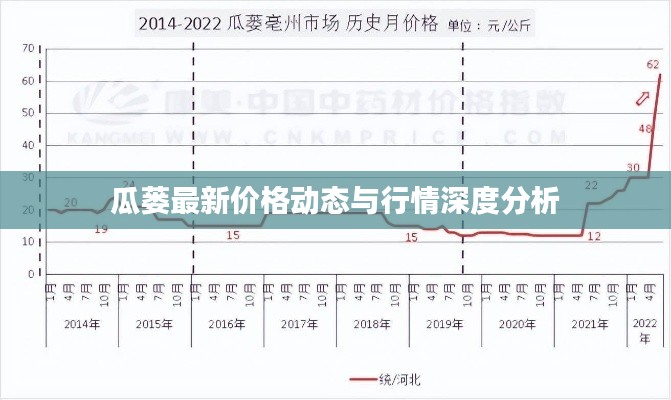 瓜蒌最新价格动态与行情深度分析