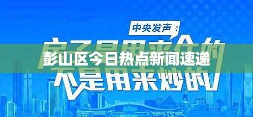 删华就素 第4页