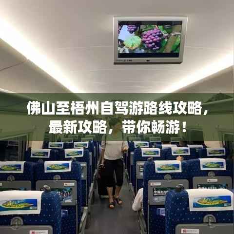 佛山至梧州自驾游路线攻略，最新攻略，带你畅游！