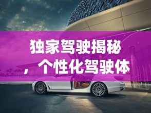 独家驾驶揭秘,个性化驾驶体验的新境界探索