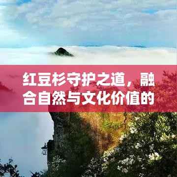 红豆杉守护之道，融合自然与文化价值的实践之路