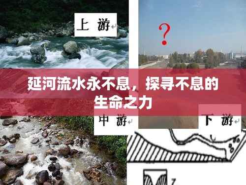 延河流水永不息，探寻不息的生命之力