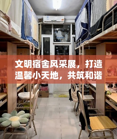 文明宿舍风采展，打造温馨小天地，共筑和谐家园梦