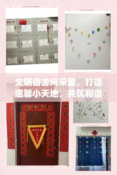 文明宿舍风采展,打造温馨小天地,共筑和谐家园梦