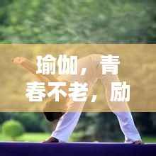 瑜伽，青春不老，励志箴言相伴行