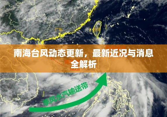 南海台风动态更新，最新近况与消息全解析