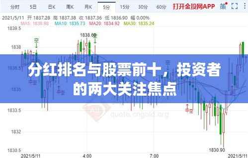 分红排名与股票前十,投资者的两大关注焦点