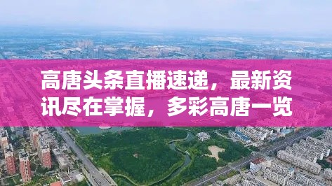 高唐头条直播速递,最新资讯尽在掌握,多彩高唐一览无余