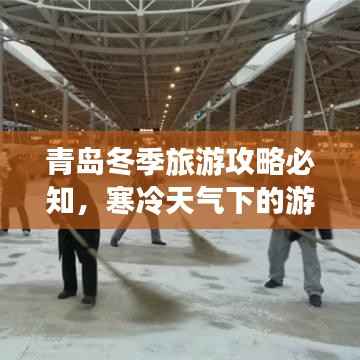 青岛冬季旅游攻略必知，寒冷天气下的游玩秘籍