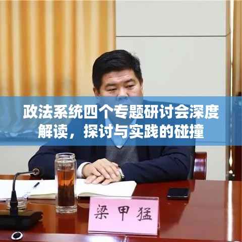 政法系统四个专题研讨会深度解读,探讨与实践的碰撞
