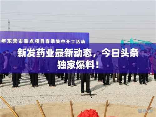 新发药业最新动态,今日头条独家爆料!