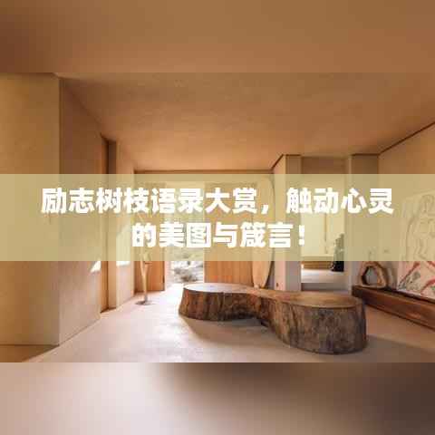 励志树枝语录大赏，触动心灵的美图与箴言！