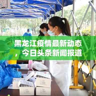 黑龙江疫情最新动态，今日头条新闻报道汇总