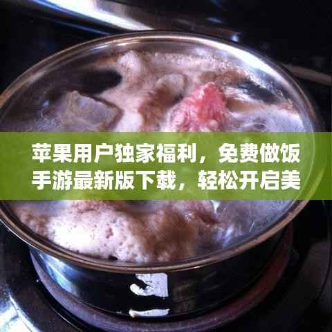 苹果用户独家福利，免费做饭手游最新版下载，轻松开启美食烹饪之旅