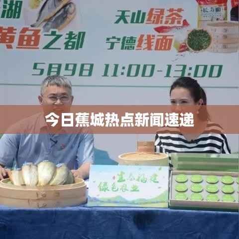 今日蕉城热点新闻速递