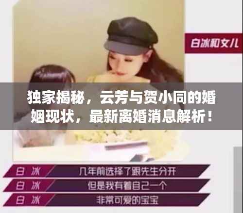 独家揭秘，云芳与贺小同的婚姻现状，最新离婚消息解析！