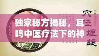 独家秘方揭秘,耳鸣中医疗法下的神奇成药作用与应用解析