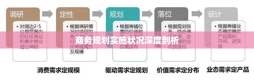 商务规划实施状况深度剖析