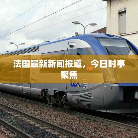 法国最新新闻报道,今日时事聚焦