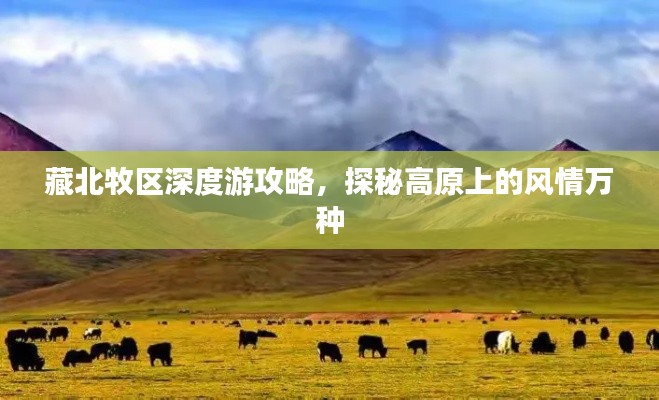 藏北牧区深度游攻略，探秘高原上的风情万种
