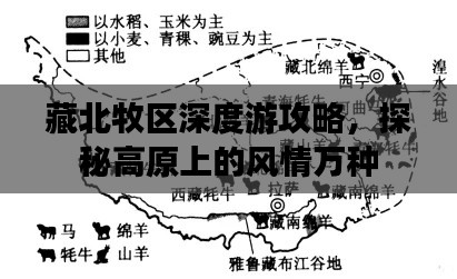 藏北牧区深度游攻略,探秘高原上的风情万种