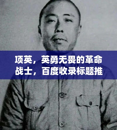 项英,英勇无畏的革命战士,百度收录标题推荐
