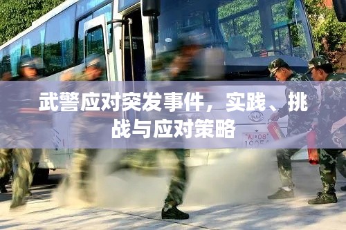 武警应对突发事件，实践、挑战与应对策略