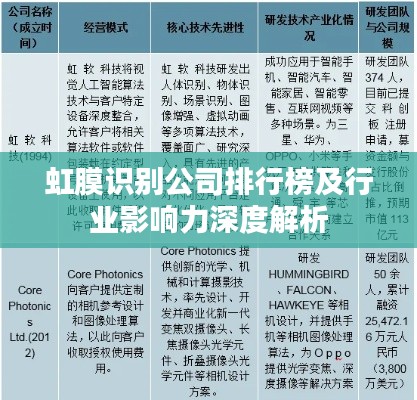 虹膜识别公司排行榜及行业影响力深度解析