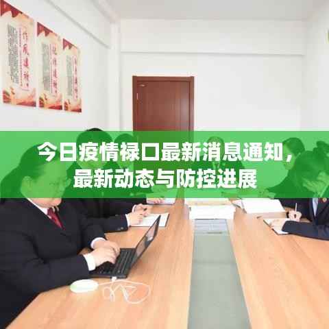 今日疫情禄口最新消息通知,最新动态与防控进展