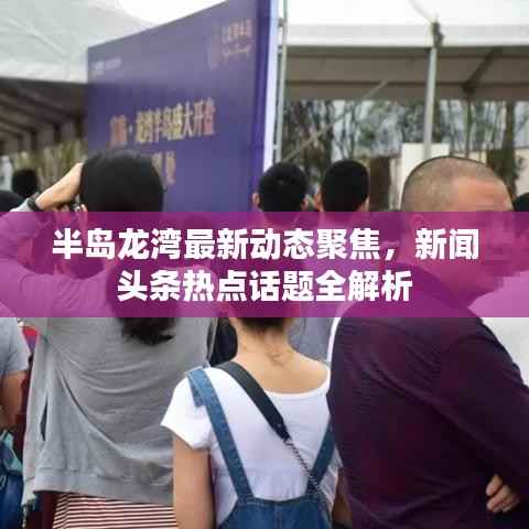 半岛龙湾最新动态聚焦，新闻头条热点话题全解析