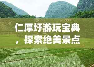 仁厚圩游玩宝典，探索绝美景点，体验地道风情！