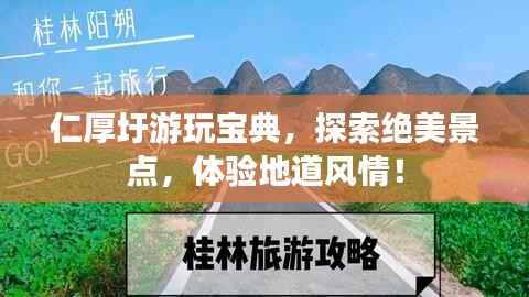 仁厚圩游玩宝典,探索绝美景点,体验地道风情!