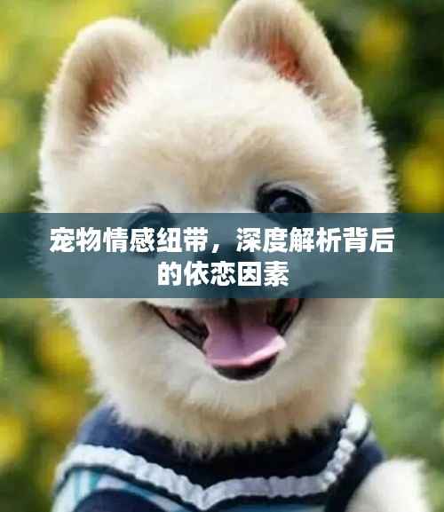 韦编三绝 第4页