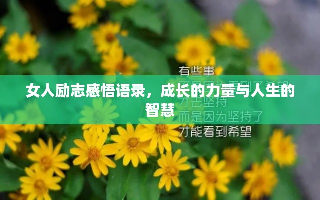 女人励志感悟语录,成长的力量与人生的智慧