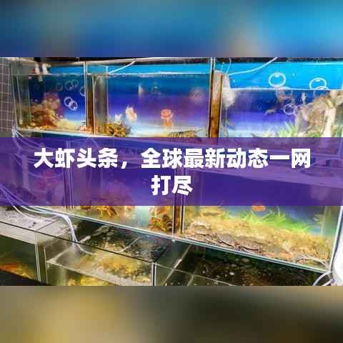 大虾头条，全球最新动态一网打尽