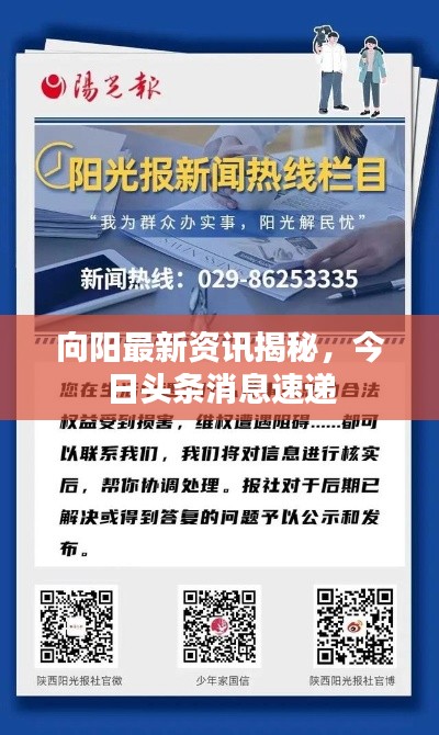 向阳最新资讯揭秘，今日头条消息速递