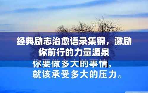 鸟语蝉鸣 第4页