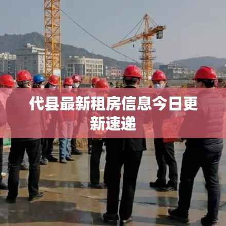代县最新租房信息今日更新速递