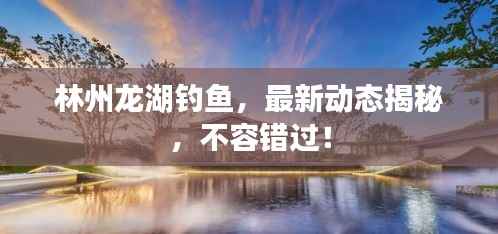 林州龙湖钓鱼,最新动态揭秘,不容错过!