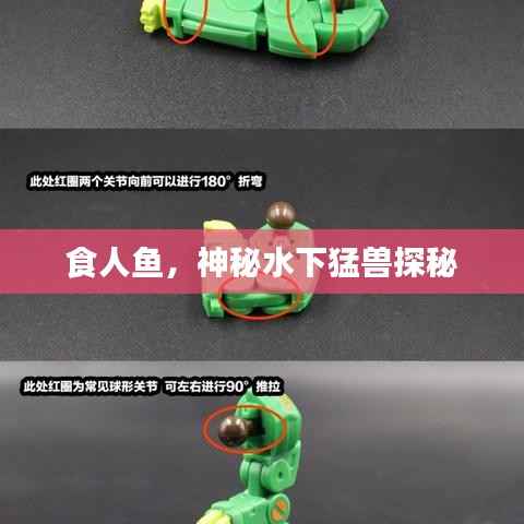 食人鱼,神秘水下猛兽探秘